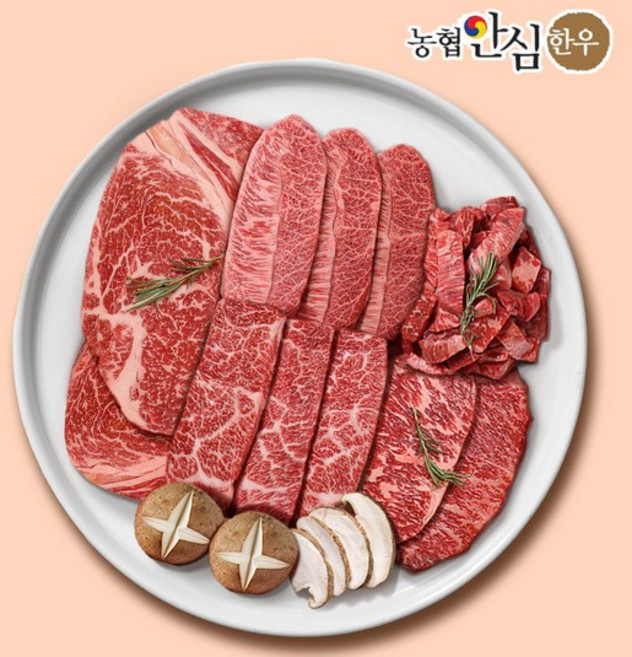 [농협안심한우][냉장] 1등급 한우 구이 5종 가족팩 1kg (등심/채끝/살치/갈비/부채), 없음