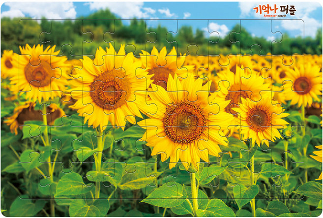 치매예방퍼즐 게임 기억나 45조각 해바라기, 45피스, 1개