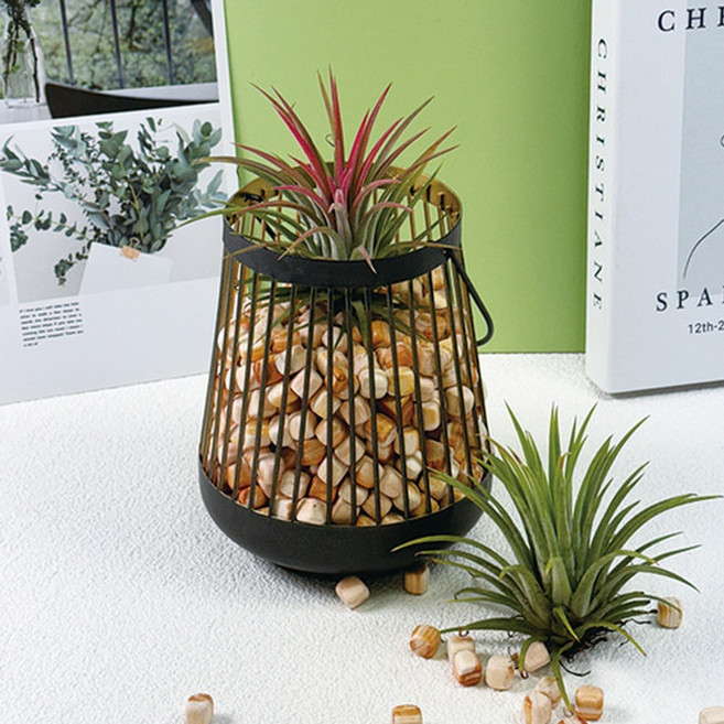 td 토단 취미키트 편백 가득 이오난사 철제 화분 만들기- 1인세트 블랙철제화분 피톤치드편백큐브 공기정화, 단품