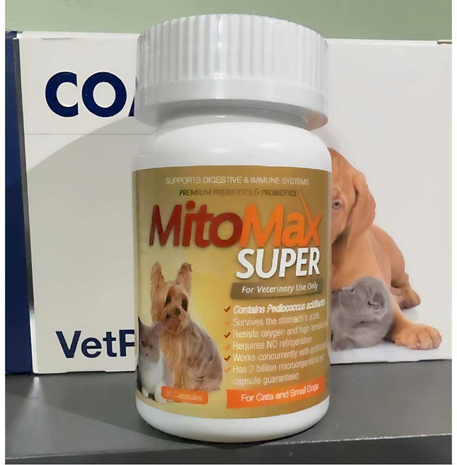 프로자임 강아지 제품 고양이 소화 파우더300g 플러스 효소, 1개, 1. 타이베이 직배송