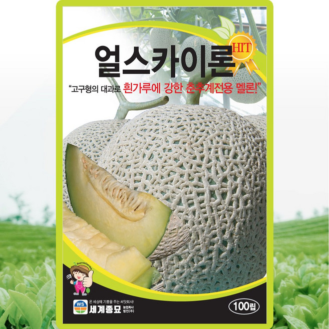 얼스카이론 멜론 씨앗 메론 종자 춘추계 100알, 1개