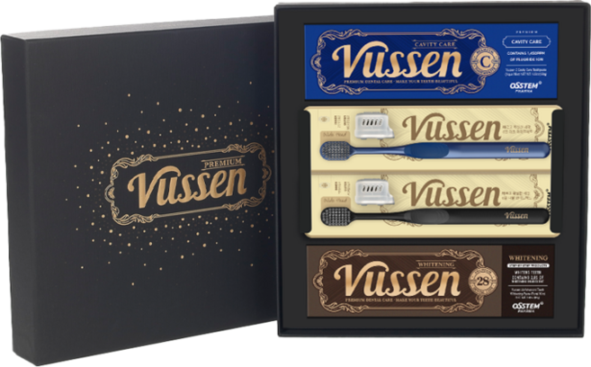 오스템 뷰센 치약 칫솔 2:2 고급형 프리미엄 선물 세트 (치약2 칫솔2 케이스 쇼핑백 포함), 1세트, 200ml