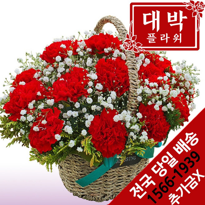 대박플라워 레드안개 카네이션 꽃바구니 어버이날 스승의날 전국당일꽃배달서비스, 1개