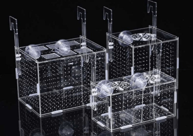 어항 분리 공간 거북이 수초 베타 가재 새끼 알 격리, 1개