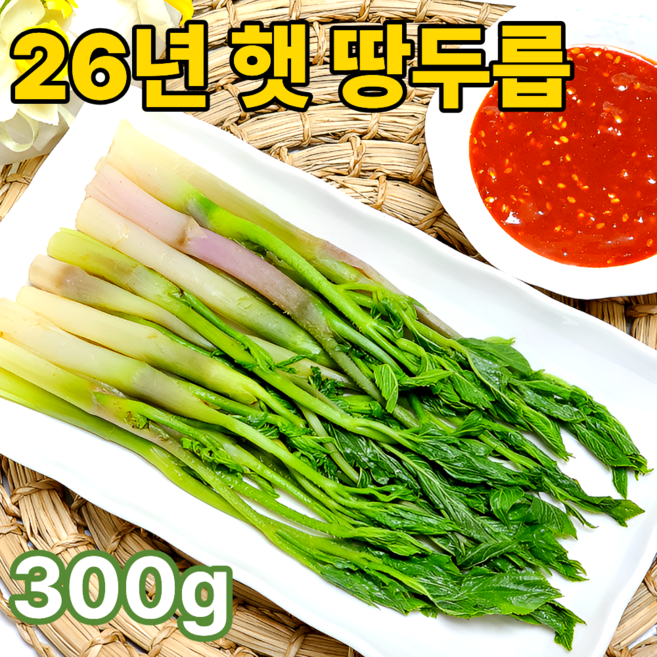 [농가직송] 2026 프리미엄 땅두릅 당일수확 햇두릅, 1개, 300g