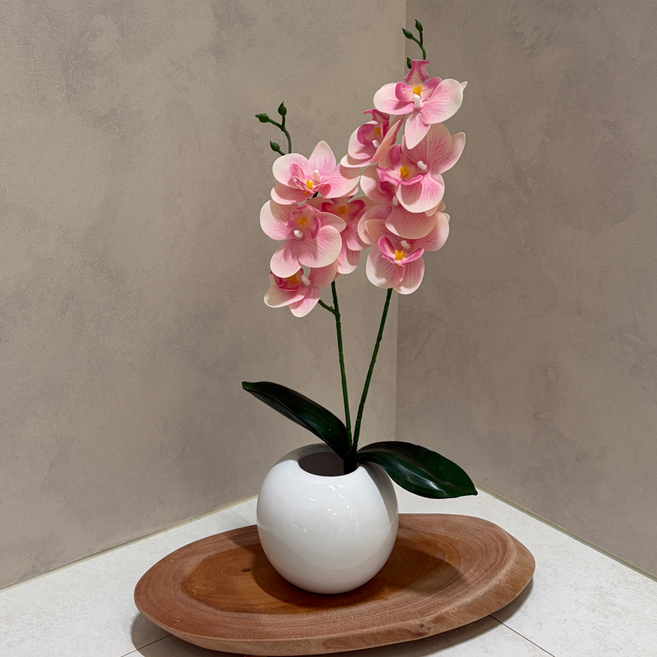 브리즈앤비 호접란 조화화분세트 스톤 유광도자기 화병세트, 1개, 연핑크