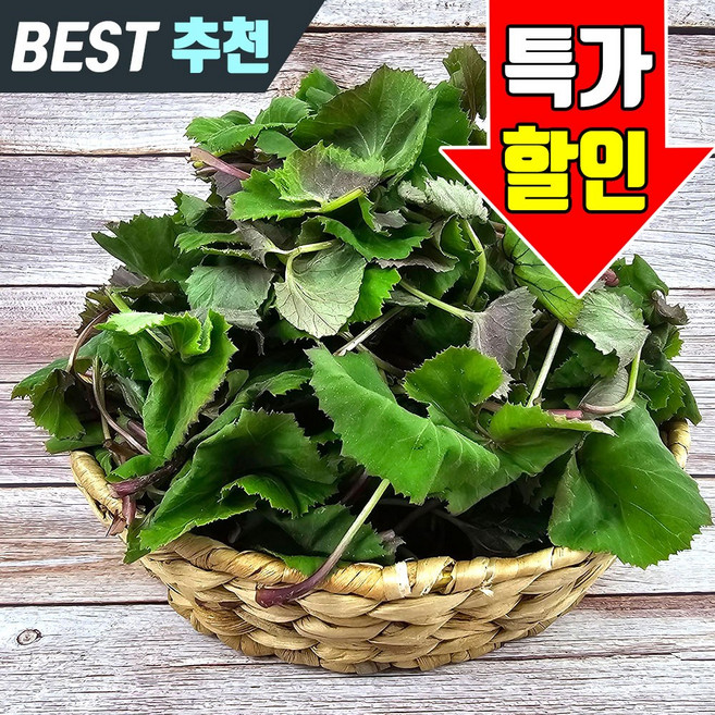 봄나물 해남 햇 머위 나물, 1개, 1kg