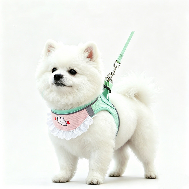 강아지 고양이 턱받이 빛반사 하네스 + 리드줄 세트, 1개, 초록 토끼 A01