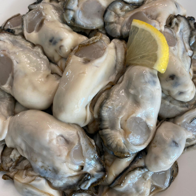 제철 통영굴 산지 생굴 1kg 세척 굴(오후4시이전주문건다음날도착), 1개, 생굴[중 size] 1kg