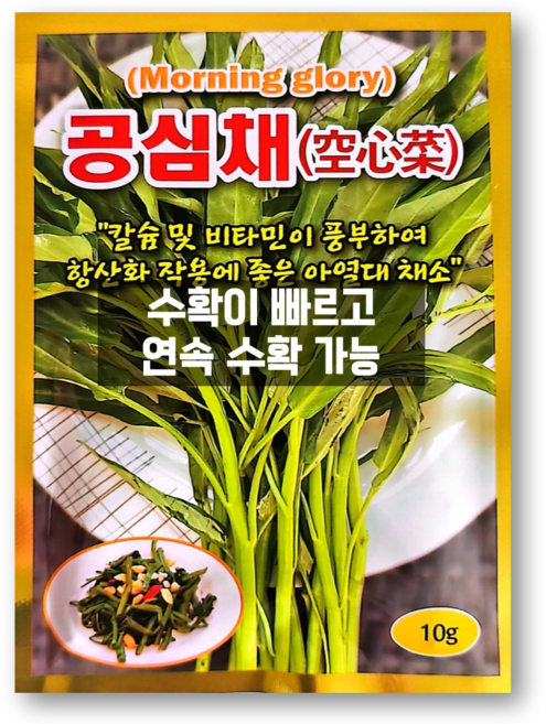 공심채씨앗 (10g) 공심채 종자 씨 모닝글로리 씨앗, 1개