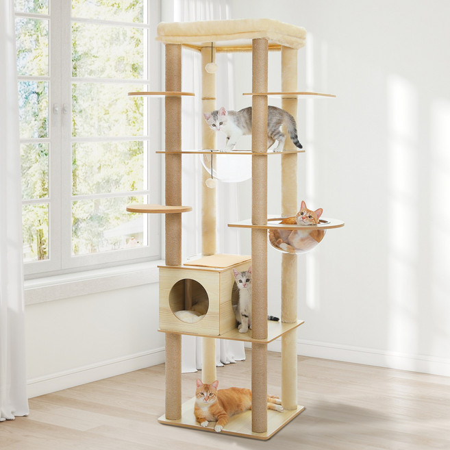 PAWZ Road 6단 모던 심플 합판 대형 캣타워 투명해먹 + 전망대+숨숨집, 베이지, 1개