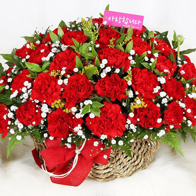 (오늘도착) 어버이날 카네이션 꽃바구니 프리미엄 레드카네이션 대형 생화 부모님선물 어버이날선물 효도선물 당일꽃배달 [ST-A1653]