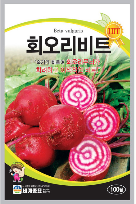 세계종묘 회오리 비트 씨앗 100립, 1개