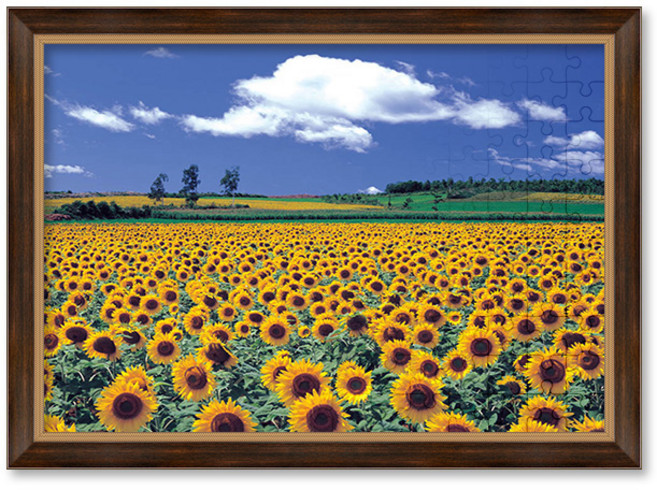 500피스 직소퍼즐+액자세트 - 해바라기 평원 (액자포함), 액자선택가능, 1세트