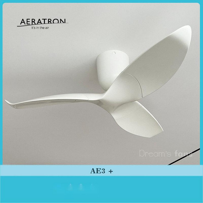루시에어 우드 조명 실링팬 거실 안방 52인치 천장선풍기, 2. AE3 43 화이트