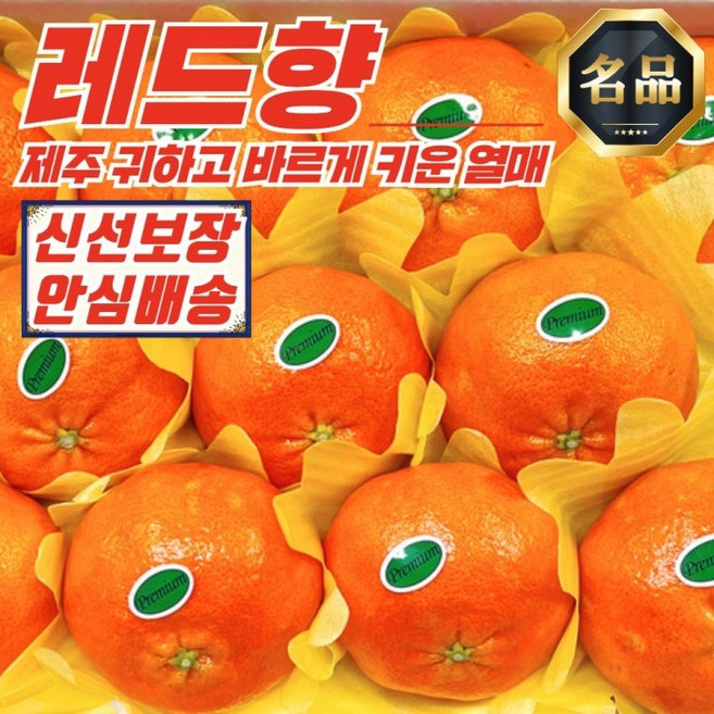 제주 레드향 로얄과 1.8kg 가정용 선물세트 설날선물 과일선물