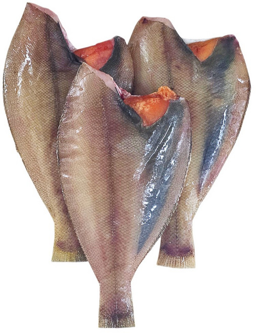 양포어장 국내산 반건조 알배기 참가자미 1kg 건조 후 급냉, 1개, (손질 건조 후) 대 1kg 4미