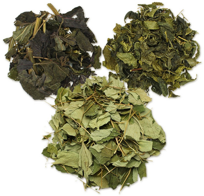 자연초 국산 어성초 200g+국산녹차100g+국산자소엽100g, 국산어성초200g+국산녹차100g+국산자소엽100g