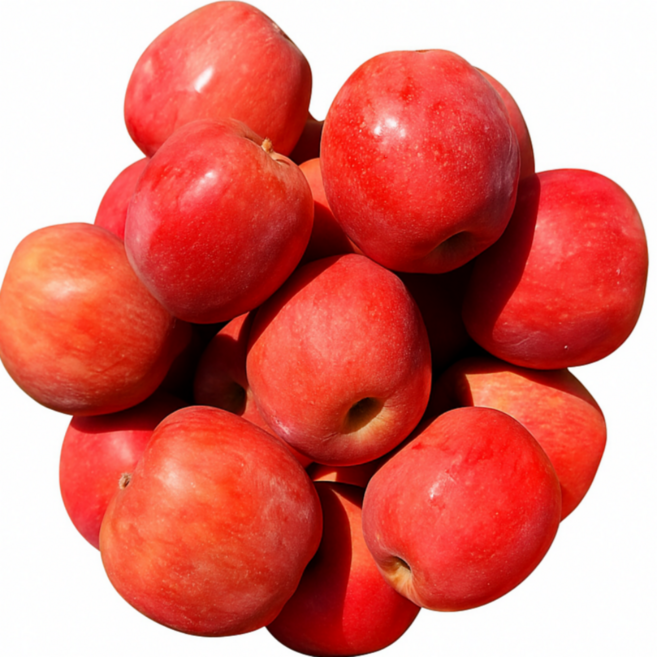 ( 문경 얼음골농원 ) 한정수량 문경 꿀부사 사과, 1개, 대과 5kg