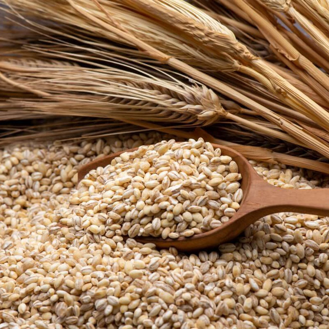 저속노화식단 국내산 늘보리 2kg (1kg+1kg) 잡곡 햇 보리 2025년산 소포장 소분, 1kg, 2개