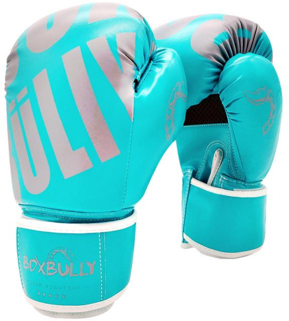 위닝 권투 글러브 복싱글러브 타입 레드 14컬러 프로페셔널, 1개, hzy032 레이크블루