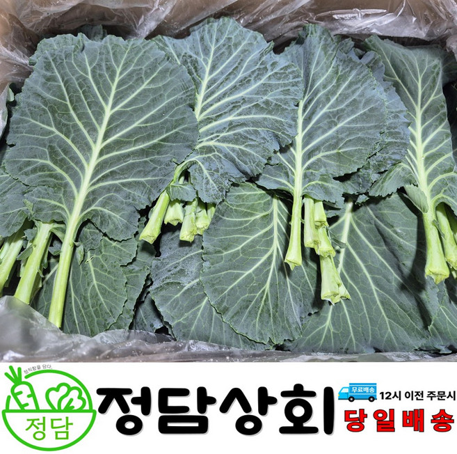 [ 정담상회 ] 국내산 케일 쌈채소 즙용 케일 1kg 2kg 내외, 1박스