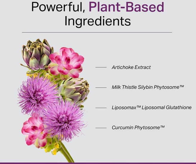 밀크씨슬-실리빈 커큐민 아티초크 글루타치온 함유 60캡슐 1박스, 1개, 120정