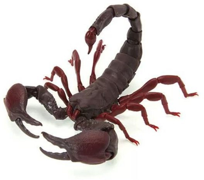 전갈 모형 생물대도감 캡슐토이 피규어 가챠 황제 단고무시 성체, 대적색발톱 황제 전갈 17cm, 재고 사이즈 주의 조립 주의, 1개