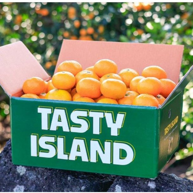 제주 고당도 햇 노지감귤 하우스감귤, 10kg 대과, 1박스