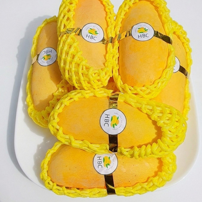 [선물올림픽금메달] 프리미엄 애플망고 종합 세트 골드망고 생기마루, 1박스, 2.5kg 특품