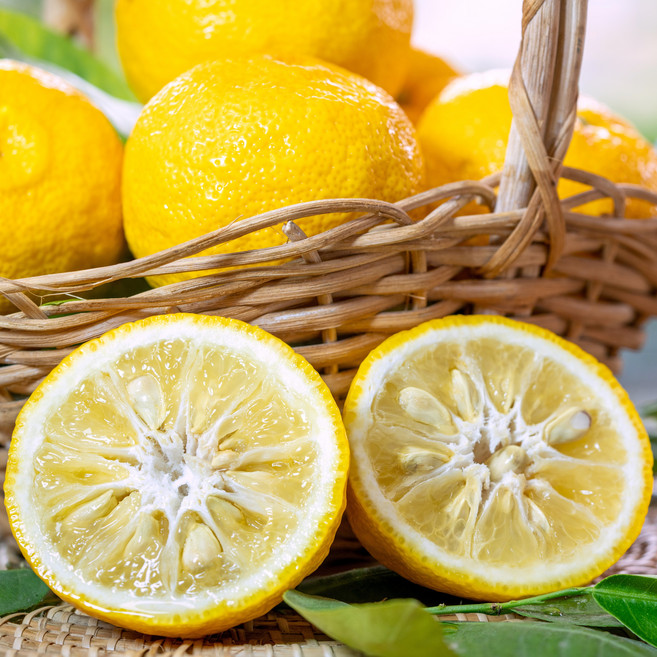 [지역축제1위]명품 고흥 생 유자 생과, 1박스, 5kg