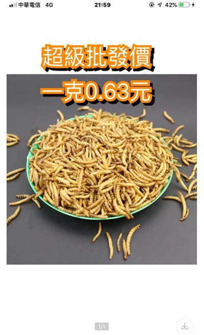 邦邦水族 麵包蟲乾, 1個, 10公斤