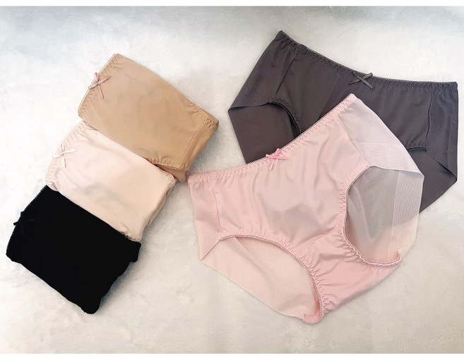 인따르시아 여성용 실크터치 노라인 햄팬티 5종 세트