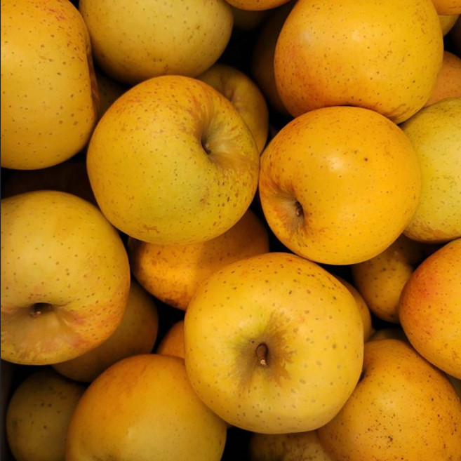 [한정수량]시나노골드 황금사과 고당도 당도선별 가정용 사과 산지직송 아삭달콤 햇사과, 1개, 소과 4kg 26-30과내외