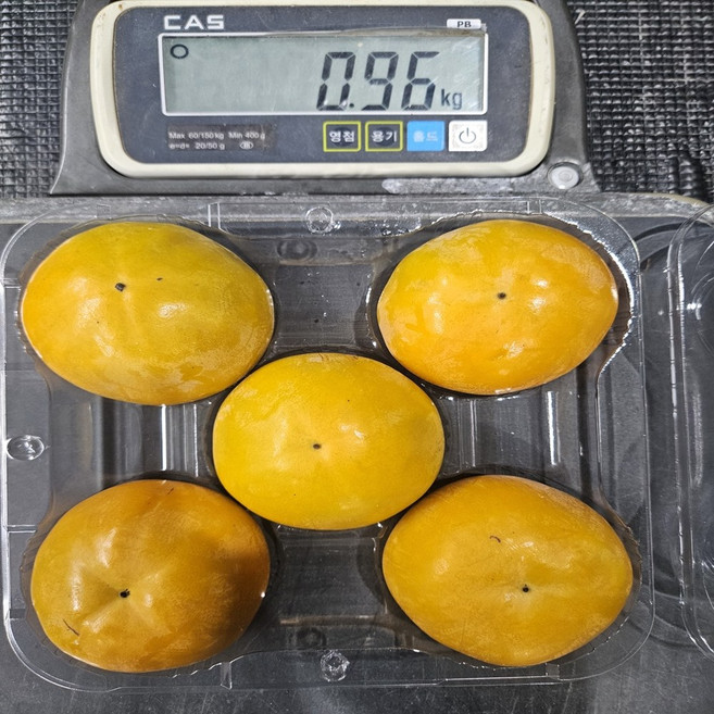 저탄소 창원 단감 1kg정품, 5개, 950g~1kg