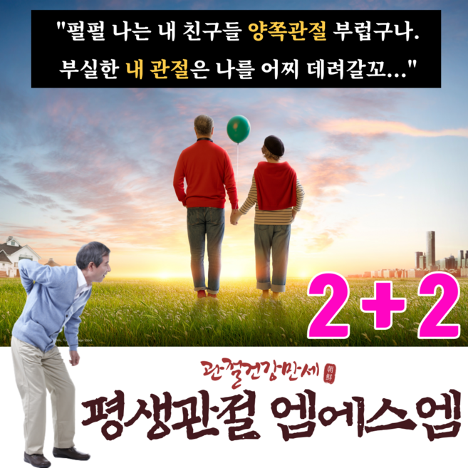 콘드로이친 보스웰리아 유향나무 원물 보다 더 미국인기 관절영양제 msm 글루코사민 을 단품 1+1 1+2 2+2! 손가락관절염 고관절통증원인 무릎뒤쪽통증 msn 이도움될수도있습니다, 60정, 4개