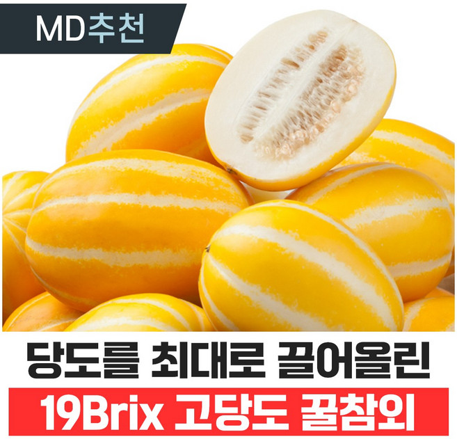 푸드지 달콤한 성주 꿀 참외, 1개, 실속 로얄과 3kg
