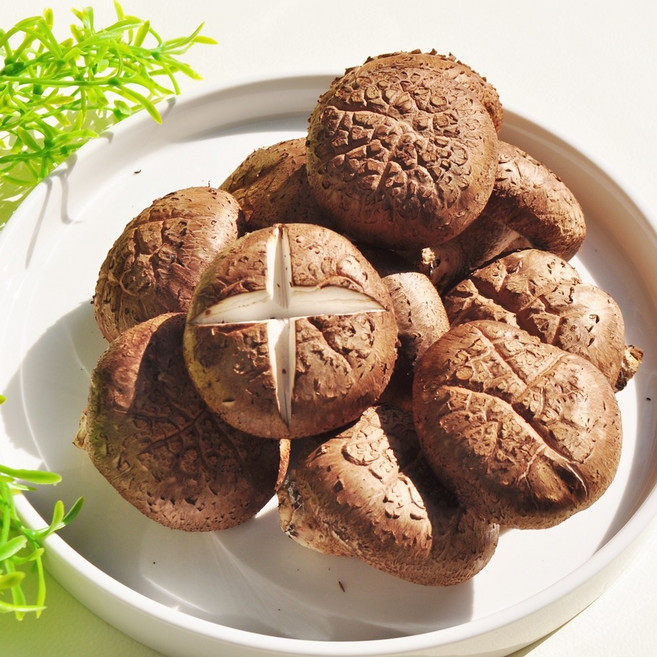 장흥 생 표고버섯 무농약 가정용 특품 생표고 1KG 2KG 4KG 프리미엄 청정 버섯, 2KG (가정용 특품), 1개