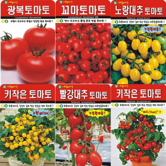 G가든 AR33 토마토 씨앗 모음, 노랑 대추방울 토마토 30립