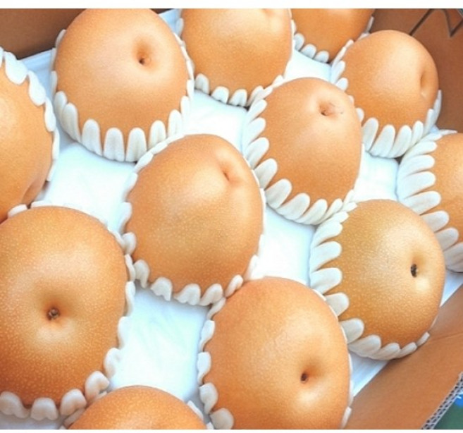 과즙폭발 프리미엄 나주배 창조배 신고배산지직송 아삭 달콤 고당도 햇배 5kg, 1박스, 5kg(9~10과)