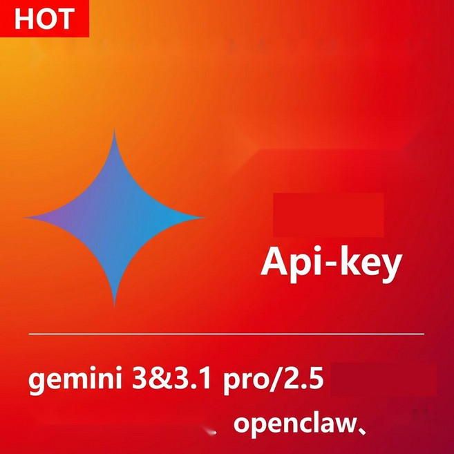 3위 - Vertex AI 기반 Gemini 3.5 Pro API 토큰 충전 서비스, 5. 3.x100회