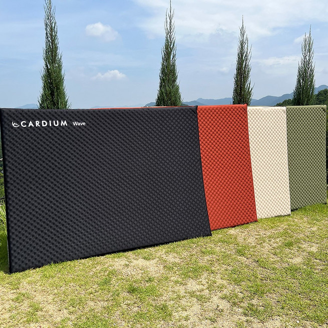 카디움 시그니처 자충매트 캠핑자충매트 에어 차박 텐트 2인용, 2인용 자충매트 WV-3025 올리브(5cm), 선택완료