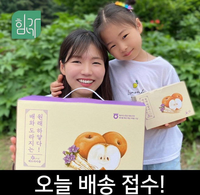 힘가네 도라지 배즙, 80ml, 40개