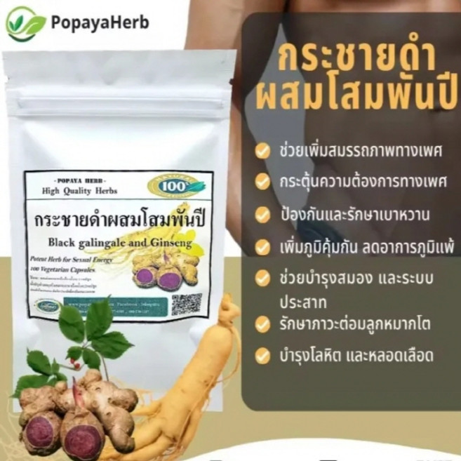 태국 검은생강 캡슐 고려인삼 추출물 첨가! 파비플로라 다이어트 태국끄라차이담과 고려인삼의 조화!, 3개, 100정