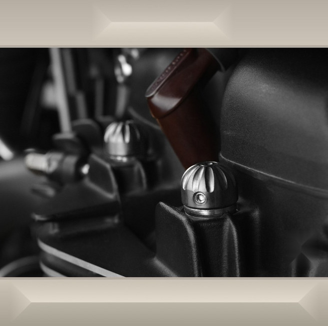 OD 트라이엄프 호환 본네빌T100/T120/스피드트윈/바버/스크램블러 튜닝 실린더 헤드 나사 장식 커버, 블랙 실린더 헤드 나사 (4개세트)