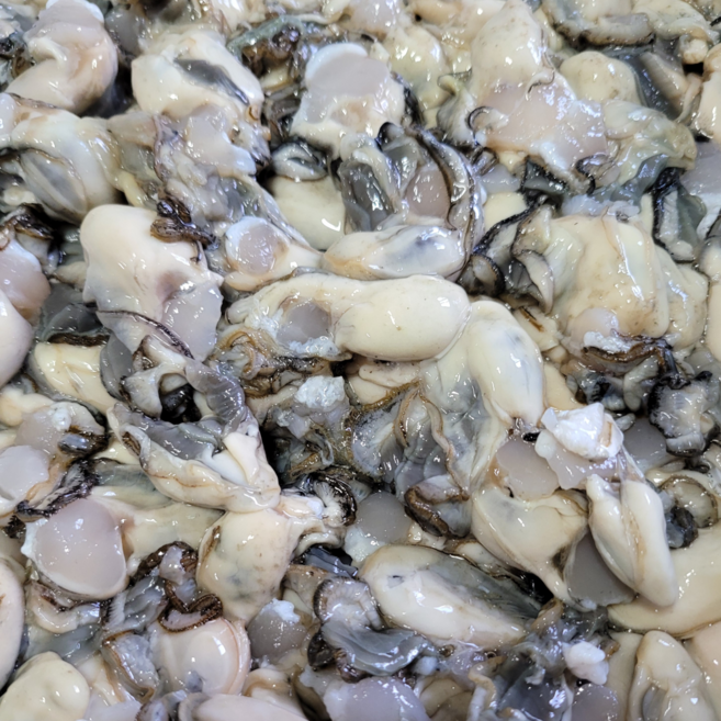 고흥굴 통영생굴 산지직송 제철 프리미엄 깐굴 햇굴 1kg, 옵션 1. 산지직송 통영생굴 4~6cm, 1개