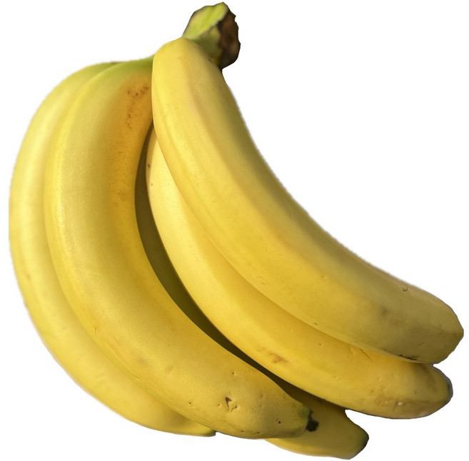 필리핀바나나 스미후르 감숙왕 바나나 스위티오 델몬트 바나나13KG 6.5KG 3.9KG, 1개, 바나나 중과 3수