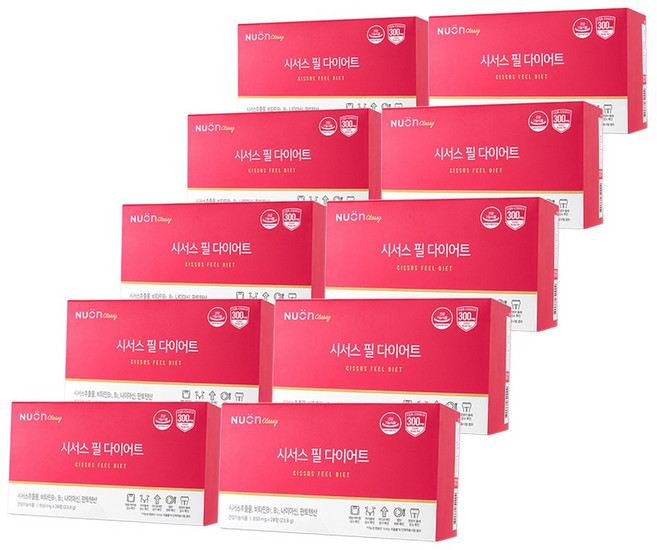 뉴온 시서스 필 다이어트 복부 체지방 감소 40주 10개월, 28정, 10개