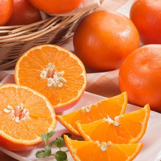 초고당도 끝판왕 봄향가득한 제주 카라향, 1박스, 5kg(중대과/선물용)