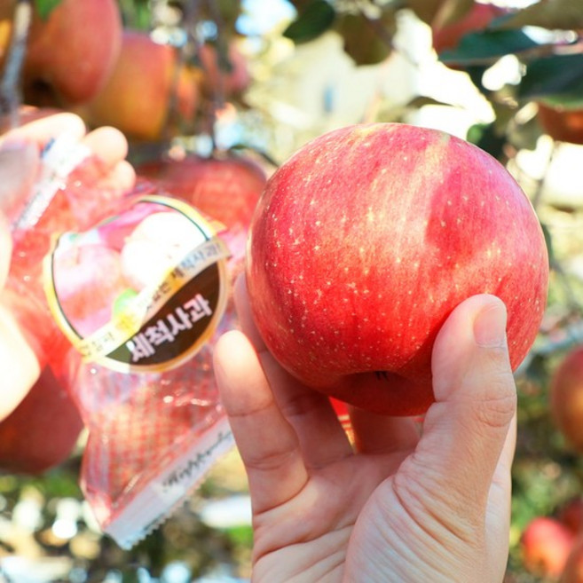 [오늘아침사과] 오늘아침 세척사과 2.5kg 11과 x 2박스 총 22과, 없음, 1개, 1없음